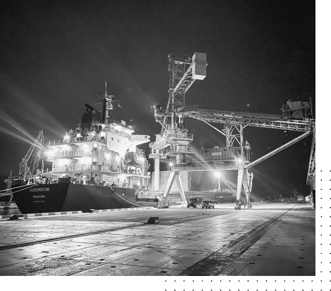 Danube Logistics Group